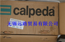 意大利 Calpeda科沛达...