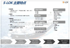 韩国S-LOK斯洛克咬合式接头